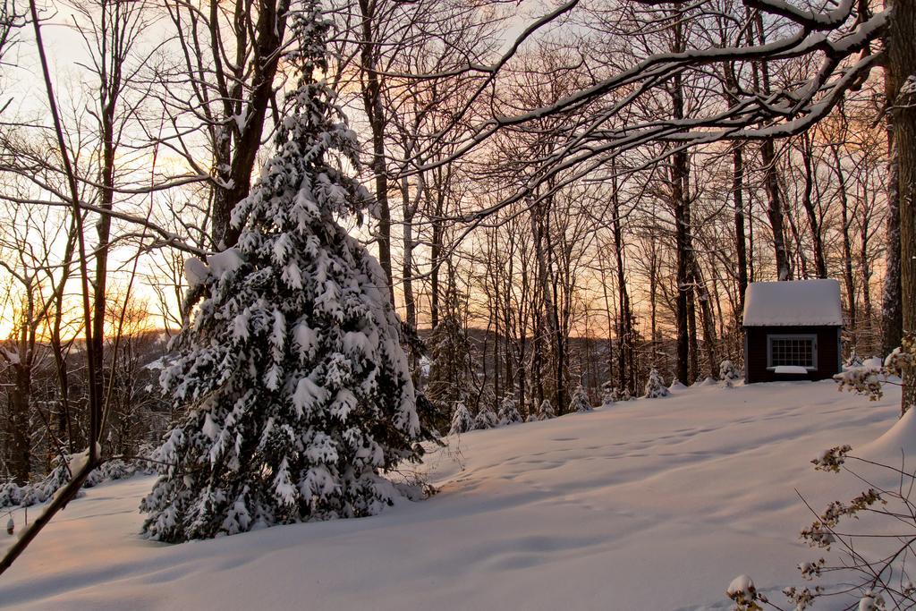 Le Petit Clocher Gite Touristique B & B Saint-Sauveur-des-Monts Екстериор снимка