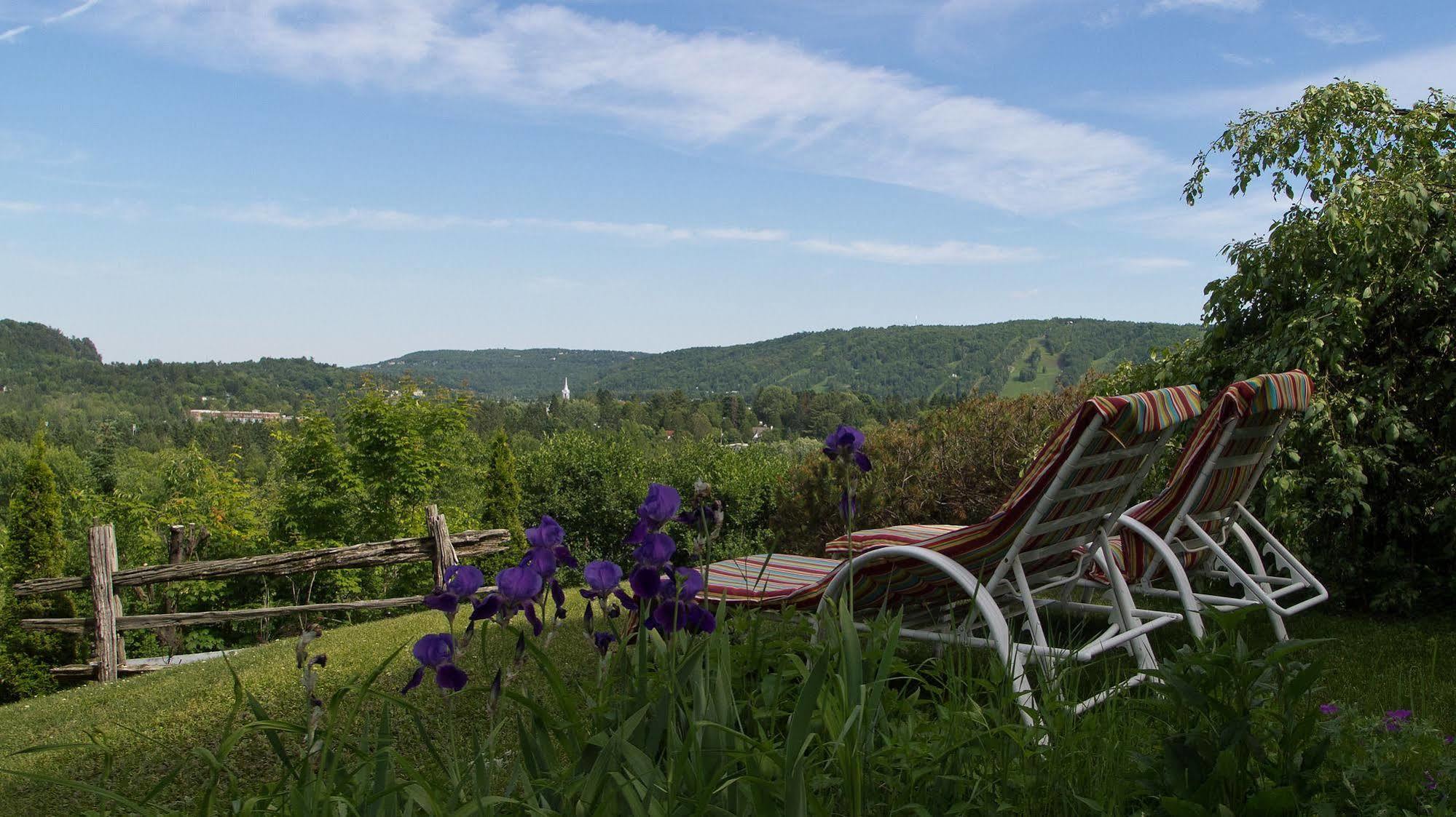 Le Petit Clocher Gite Touristique B & B Saint-Sauveur-des-Monts Екстериор снимка